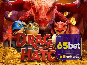 65BET PIX instantâneo Brasil - Depósito e saque em minutos 24/7